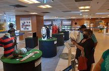 Private Tour of Maracanã Stadium with Inside Visit