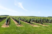Private Luxury Wine Tours of Long Island Pindar Winery