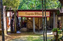 Jeep Tour in Paraty Exclusive Adventure and Nature