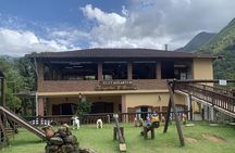 Jeep Tour Adventure: Explore Paraty and the Atlantic Forest