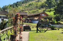 Jeep Tour Adventure: Explore Paraty and the Atlantic Forest