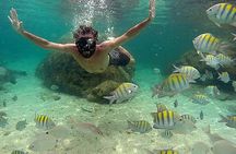 Angra Paradise Islands Speedboat Tour