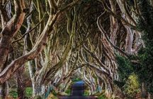 Giant’s Causeway & Antrim Coast Private Tour from Belfast