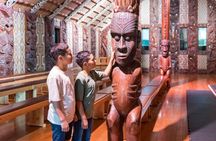 Waitangi Treaty Grounds Tour from Auckland