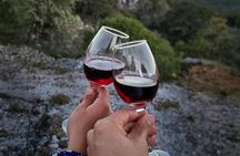 Montjuïc Tour with Wine Tasting 