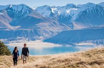 Mount Cook Small Group Scenic Tour