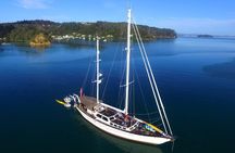 Yonder Star Sailing Yacht
