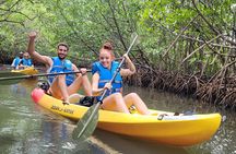 Biscayne Bay Island and Nature Exploration 