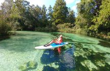 Biscayne Bay Island and Nature Exploration 