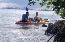 Biscayne Bay Island and Nature Exploration 