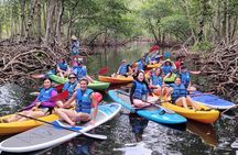 Biscayne Bay Island and Nature Exploration 