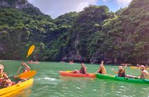Ha Long Bay Cruise Day Tour - Cave, Kayaking, Swimming & Lunch
