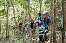 Suoi Tien 4-Hour Jungle Easy Trek and Spring Bath