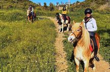 Catania Horseback Riding in Misterbianco Countryside