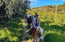 Catania Horseback Riding in Misterbianco Countryside