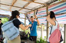 Suoi Tien 4-Hour Jungle Easy Trek and Spring Bath