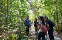 Suoi Tien 4-Hour Jungle Easy Trek and Spring Bath