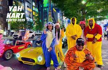 Tokyo Go Kart Tour in Akihabara (IDP Required)