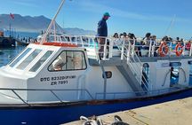 Cape Town: Hermanus Whale Watching Expedition