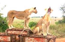 Nairobi National Park and Giraffe Center Private Tour