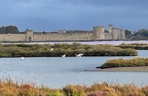 Small group half day Camargue and Aigues Mortes tour