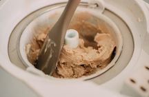 Family-friendly Gelato Making Class in Bologna