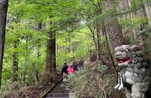 Private Hiking Tour to View Mt. Fuji