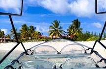 Glass Boat Mangrove Tours Grand Turk, Turks & Caicos Islands 