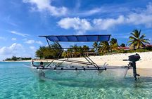 Glass Boat Mangrove Tours Grand Turk, Turks & Caicos Islands 