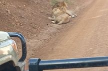 Half Day Jeep 4x4 Nairobi National Park Safari