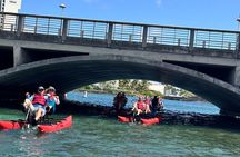 Chiliboats Waterbike Eco-Tour Adventure in San Juan, Puerto Rico