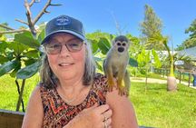 Damajagua Waterfalls and Monkey Private Van Tour