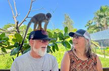 Damajagua Waterfalls and Monkey Private Van Tour