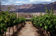 Stories Over Wine & Lunch