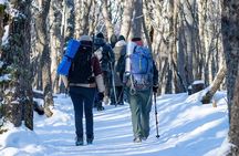 Emerald Lagoon Trekking from Ushuaia – Small Group