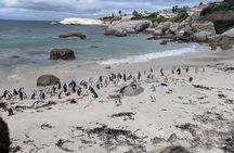 Cape of Good Hope, Cape point & Boulders Beach - Half Day Tour