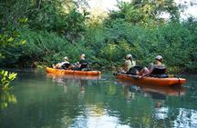 3-Hour Damas Mangrove Kayak Tour