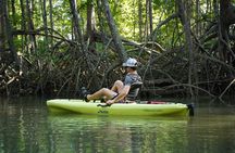 3-Hour Damas Mangrove Kayak Tour