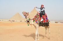 Private Tour:Giza Pyramids,Sphinx,Tickets, Camel & Lunch included