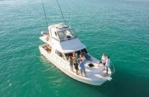 Whale Watching Sunset Cruise from Broome