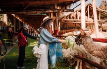 Complete Sacred Valley Tour Small group Pisac, Maras, Moray & Ollantaytambo