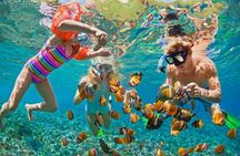 Grand Cayman 3-Stop Snorkel Adventure: Stingray City & Reefs Tour