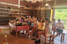 From Huatulco : Adventure between waterfalls and jungle private service