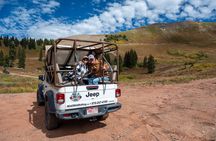 Durango Half Day Jeep Tour - La Plata Canyon