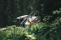 Durango Half Day Jeep Tour - La Plata Canyon