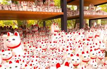 Tokyo: Lucky Cat Temple, Harajuku Cat Café & Optional PM Cat Tour