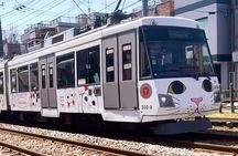 Tokyo: Gotokuji Lucky Cat Temple and Local Shopping Street Walk