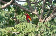 Carara National Park Private Tour