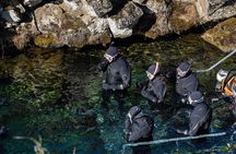 Golden Circle Adventure: Snorkeling at Silfra, Geysir & Gullfoss