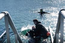 Golden Circle Adventure: Snorkeling at Silfra, Geysir & Gullfoss